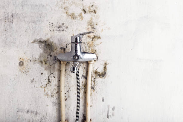 Best Affordable Mold Removal  in Red Bluff, CA