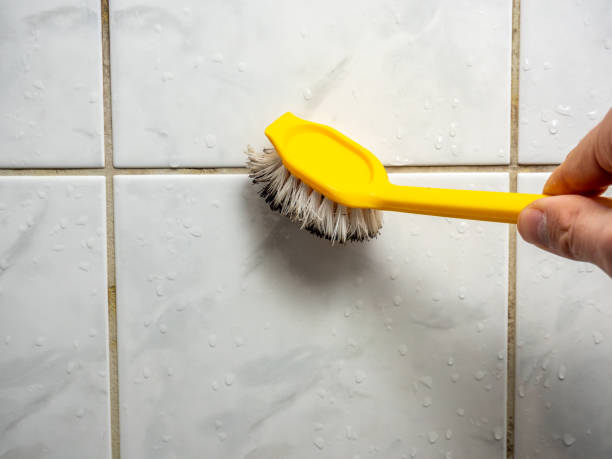 Office Mold Removal Services in Red Bluff, CA