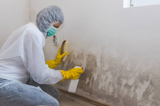 Water Damage Restoration in Red Bluff, CA