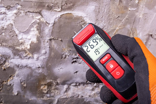 Best Fast Mold Removal  in Red Bluff, CA