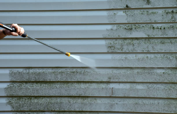 Best Mold Cleaning Services  in Red Bluff, CA