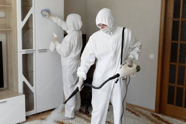 Best Mold Remediation Services  in Red Bluff, CA