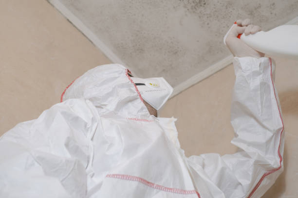 Best Mold Damage Repair  in Red Bluff, CA