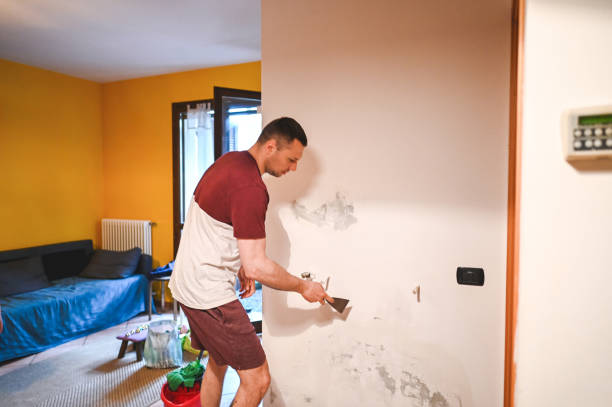 Best Toxic Mold Removal  in Red Bluff, CA